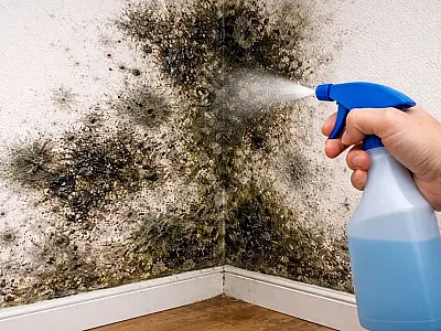 Como tirar mofo da parede: dicas práticas para deixar sua casa livre da umidade