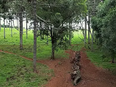 Episódio inédito explora Santa Catarina e Paraná, com exploradores e cultura guarani.