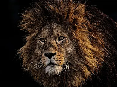 Imposto de Renda 2026 já gera dúvidas entre contribuintes antes da divulgação oficial das regras.