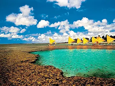 Piscinas Naturais de Porto de Galinhas.