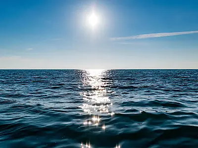 Saiba como o Brasil se beneficia com conservação sustentável e repartição de lucros da biodiversidade marinha.