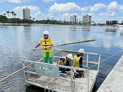 Perícia investiga causas da morte de peixes no Açude Velho, em Campina Grande.
