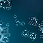 Especialistas monitoram vírus para evitar risco de nova pandemia em 2026