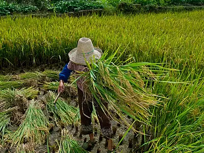O Decreto nº 12.857 insere no ordenamento brasileiro o Protocolo de 2014 da OIT à Convenção 29, fortalecendo ações contra o trabalho forçado com medidas práticas e internacionais.