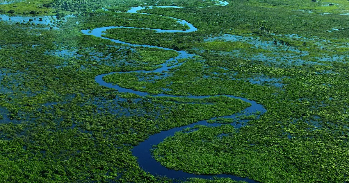 Vista aérea das áreas alagadas do Pantanal brasileiro