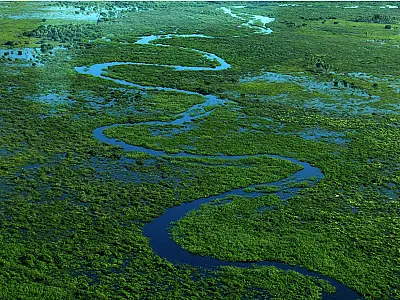 Ciclo de cheias e secas molda a paisagem do Pantanal.