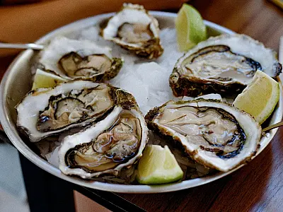 Ostras podem produzir pérolas raras avaliadas em até R$ 25 mil.