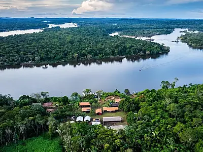 Descubra como o Fundo Amazônia aporta R$ 80 milhões para produção agrícola comunitária sustentável.