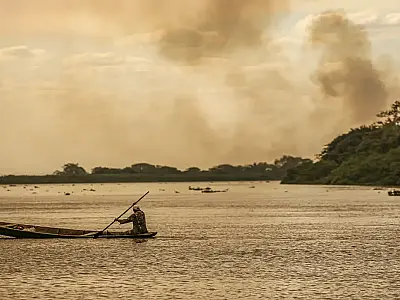 O Plano Clima foi publicado pelo governo federal como um guia para a economia de baixo carbono.