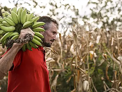 Câmara aprova uso de recursos do FGO no Pronaf.