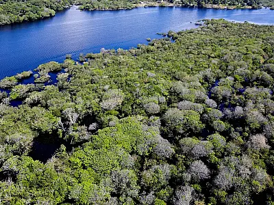 Edital para combate ao desmatamento na Amazônia abre inscrições para organizações que vão auxiliar na regularização fundiária.