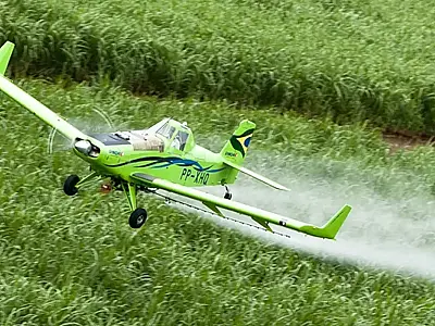 Estudo aponta que agrotóxicos estão mais tóxicos globalmente.