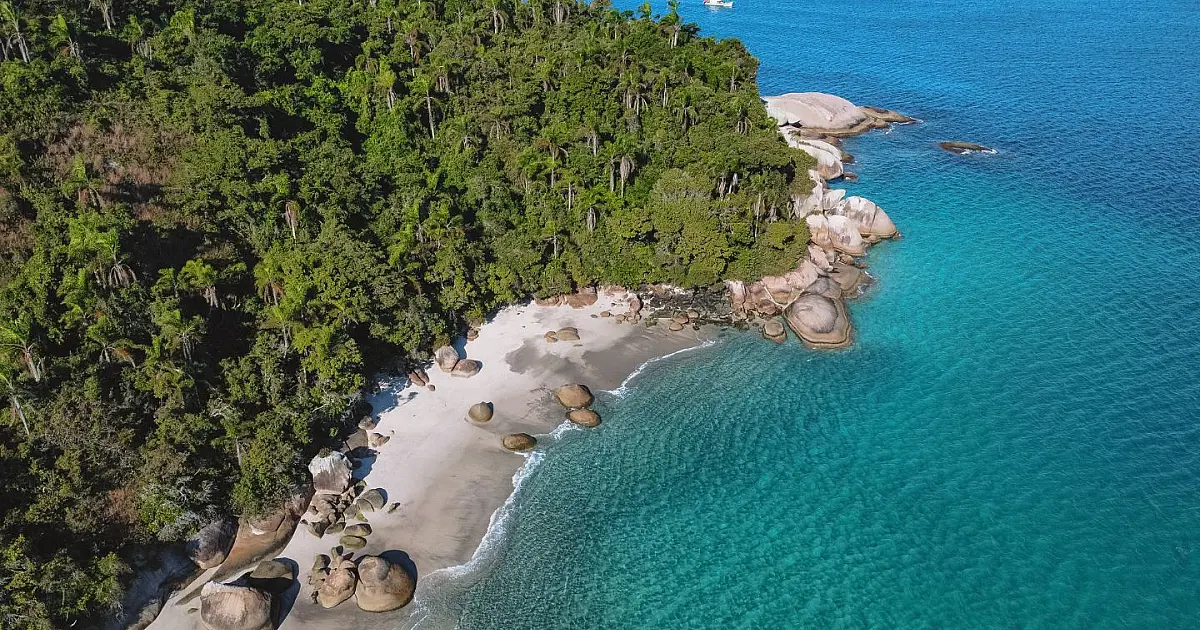 Vista aérea da Ilha do Campeche em manhã de sol no litoral de Santa Catarina