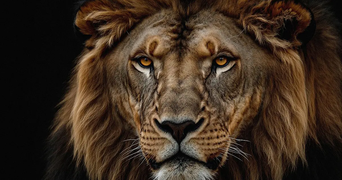 Ilustração de leão simbolizando a Receita Federal ao lado de documentos de Imposto de Renda.