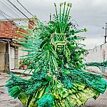 Volta à elite: Escolas da Série Ouro do Rio esgrimem histórias de resistência e protagonismo feminino rumo ao Grupo Especial