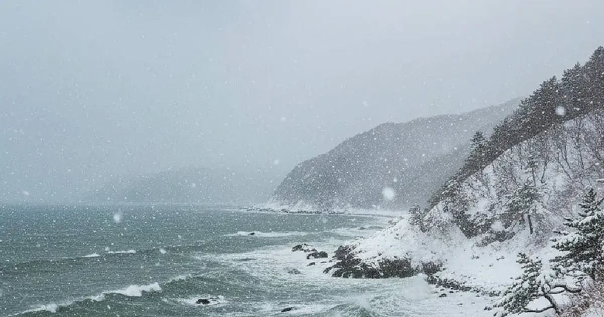 Neve intensa segue castigando costa do Mar do Japão com alertas para avalanches e interrupções no transporte