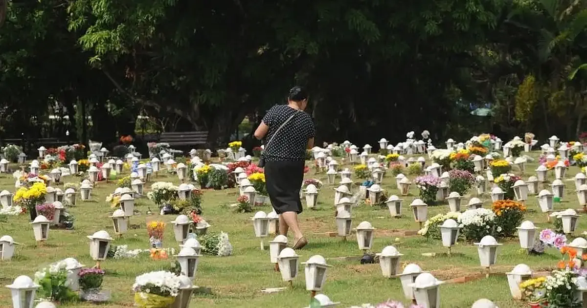 Lei em São Paulo passa a permitir sepultamento de cães e gatos em jazigos familiares
