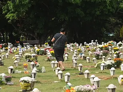 Em São Paulo, cães e gatos já podem ser sepultados em jazigos familiares em cemitérios públicos e privados,