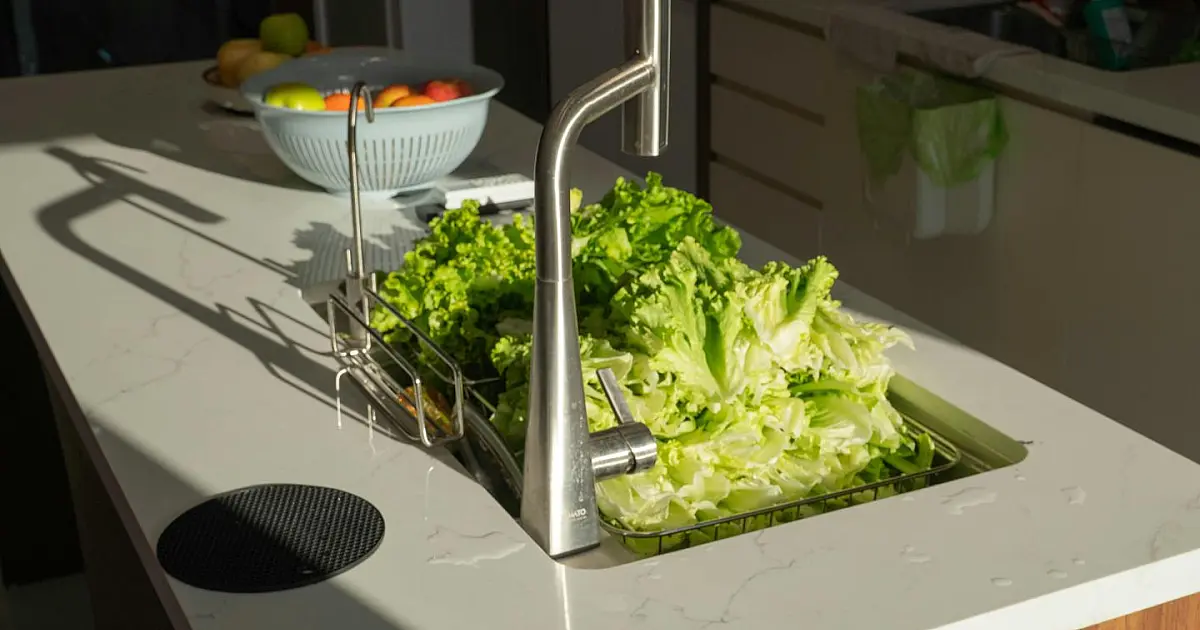 Alface fresca sobre bancada de cozinha moderna, pronta para armazenamento.