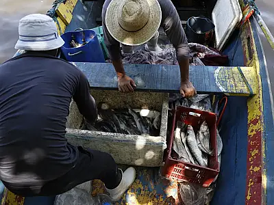 Nesta terça, 24 de março, pescadores artesanais recebem o sexto lote do Seguro-Defeso.