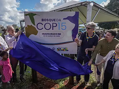 Bosque COP15 plantado e Casa do Homem Pantaneiro como polo educativo, reforçando liderança brasileira na biodiversidade.