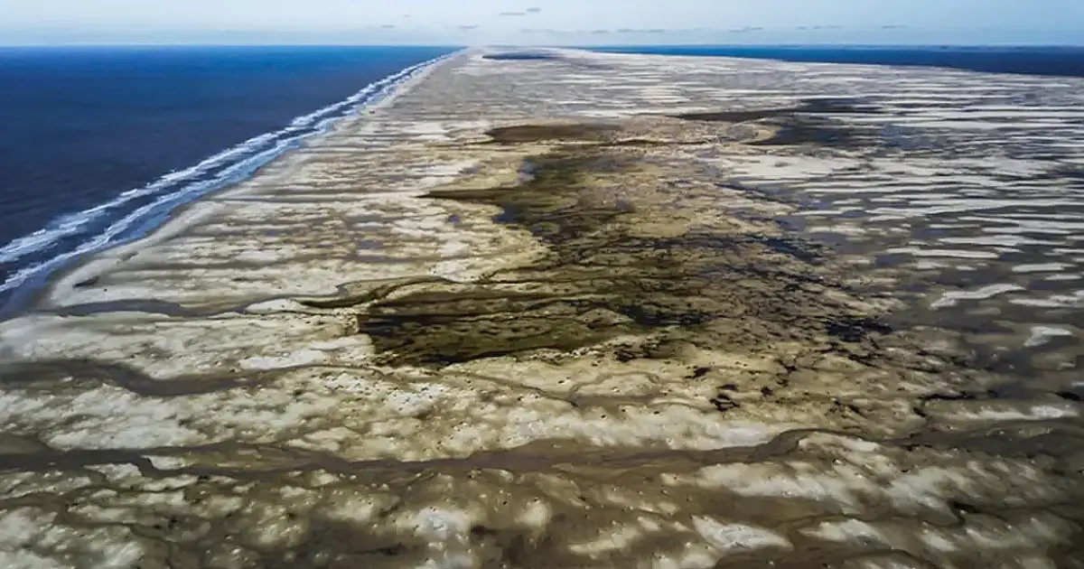 Governo cria duas unidades de conservação no RS para proteger biodiversidade marinha do Atlântico Sul