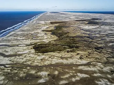 Governo cria duas unidades de conservação federais no RS para proteger biodiversidade marinha e espécies ameaçadas no litoral do Atlântico Sul.