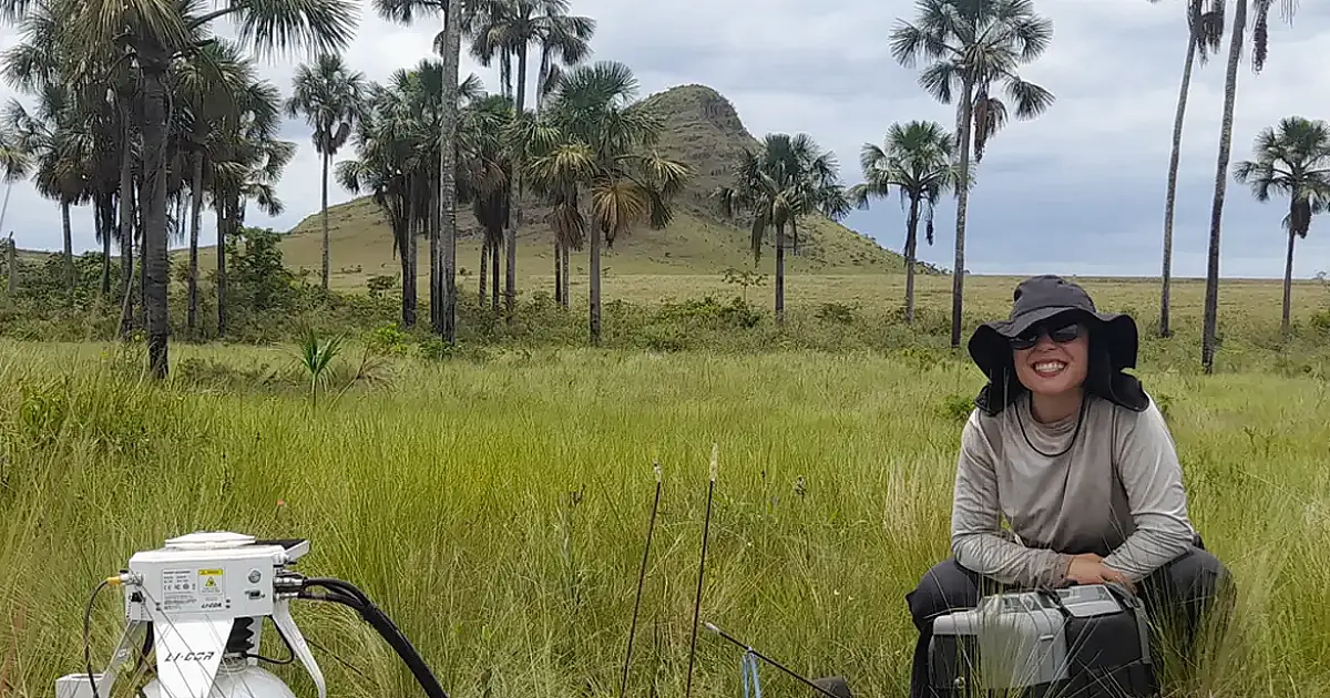 Pesquisa revela que áreas úmidas do Cerrado guardam estoque profundo de carbono e ganham peso no debate climático