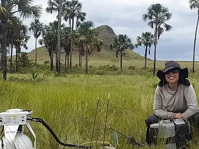 Estoque de carbono no Cerrado ganha destaque após estudo mostrar alta concentração em áreas úmidas e risco climático com a degradação.