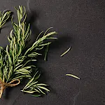 Franceses recorrem ao alecrim como símbolo de proteção contra invasões