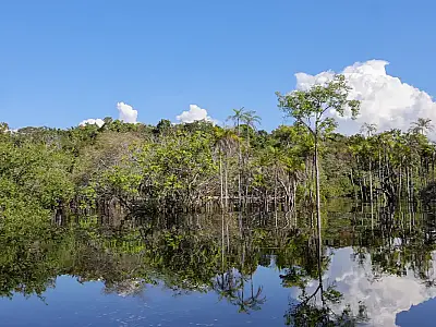Governo informa captação de R$ 179 bilhões desde 2023 para transição ecológica, com Fundo Clima recorde de R$ 27,5 bilhões em 2026.