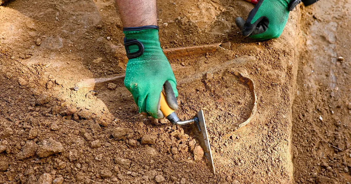 Escavação paleontológica em área com possível presença de fósseis