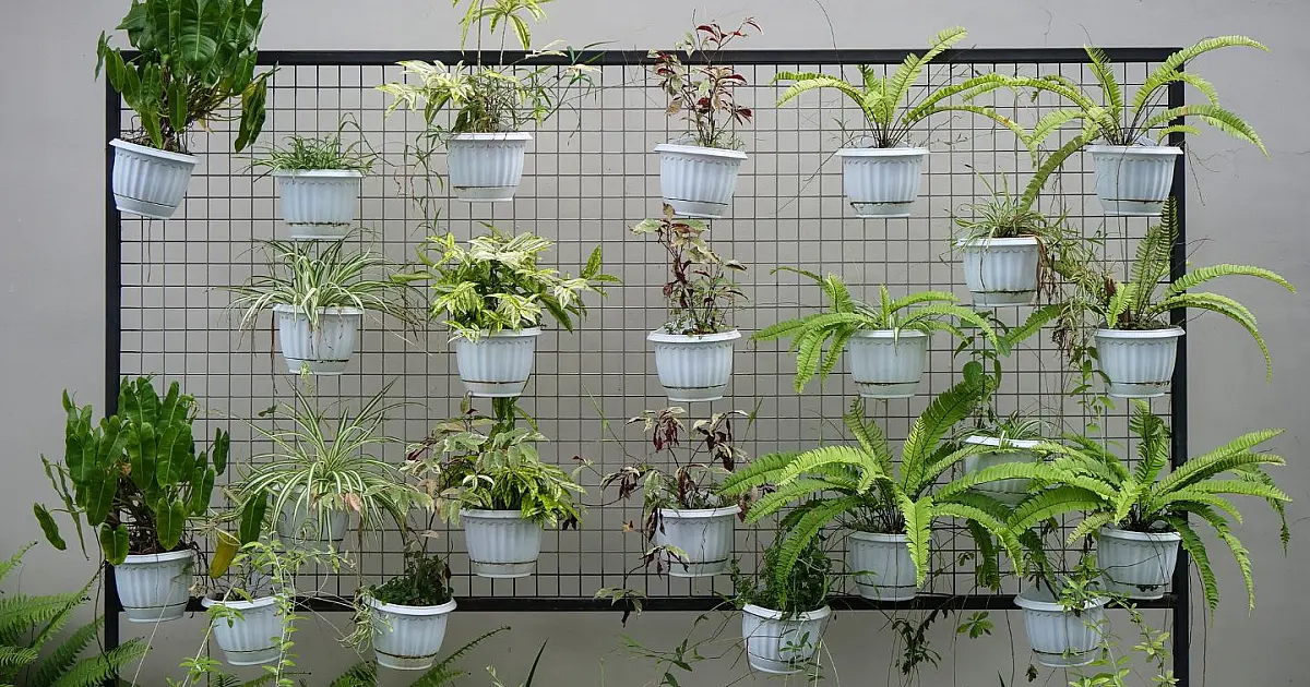 Vasos com plantas decorando ambiente interno de banheiro.