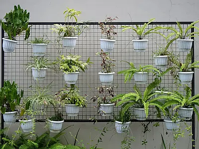 Plantas podem ajudar a decorar e melhorar o ambiente do banheiro.
