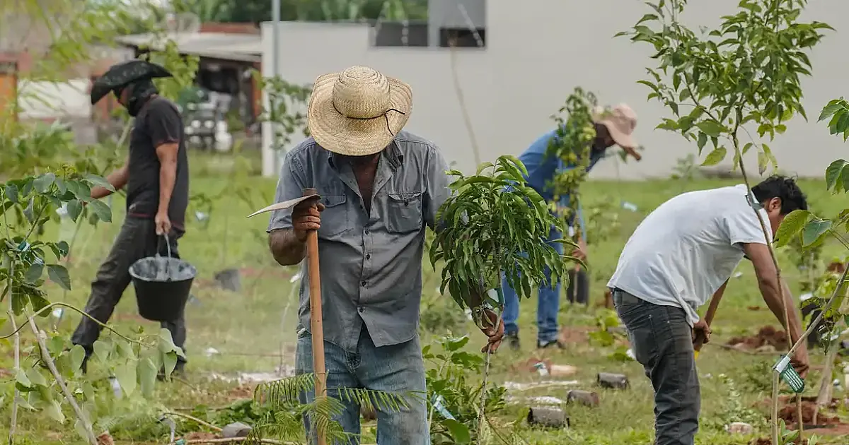 Banco do Brasil anuncia neutralização de emissões da COP15 sobre espécies migratórias no Brasil