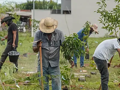 Banco do Brasil assume responsabilidade climática pela COP15 no Brasil, usando créditos de carbono de projetos de energia limpa para compensar emissões do evento internacional.