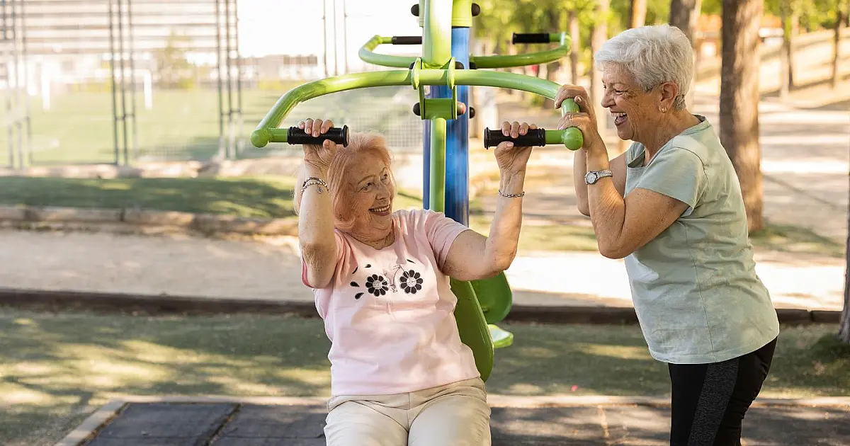 Grupo de mulheres idosas realizando exercícios físicos leves em parque ao ar livre.
