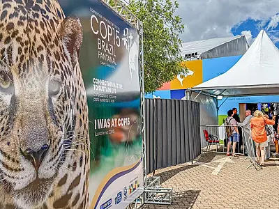 Brasil sedia conferência internacional sobre proteção de espécies migratórias.