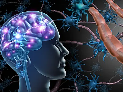 Implante cerebral pode ajudar pacientes a recuperar movimentos das mãos.