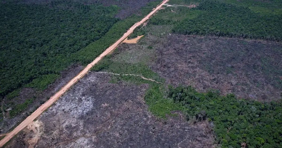 Projeto que restringe embargos ambientais avança na Câmara e amplia reação de entidades e produtores