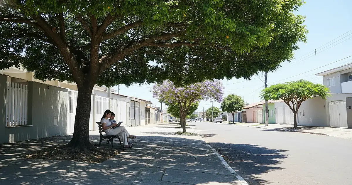 Ar-condicionado natural: 5 árvores que refrescam a casa sem destruir a calçada