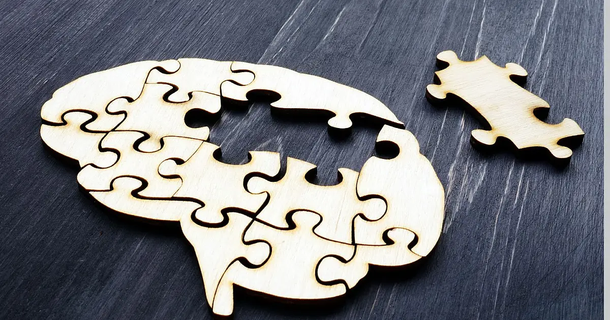 Imagem de cérebro montado com peças de madeira simbolizando memória e saúde mental.