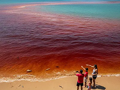 Mancha avermelhada intensa cobriu as águas das praias do Curral e do Veloso, em Ilhabela.