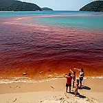 Maré vermelha em Ilhabela: o que explica a mancha que assustou moradores