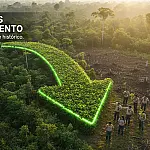Brasil reduz perdas florestais em 42% e alcança recorde histórico de preservação