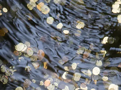 Costume de lançar moedas em fontes continua popular em cidades turísticas ao redor do mundo.