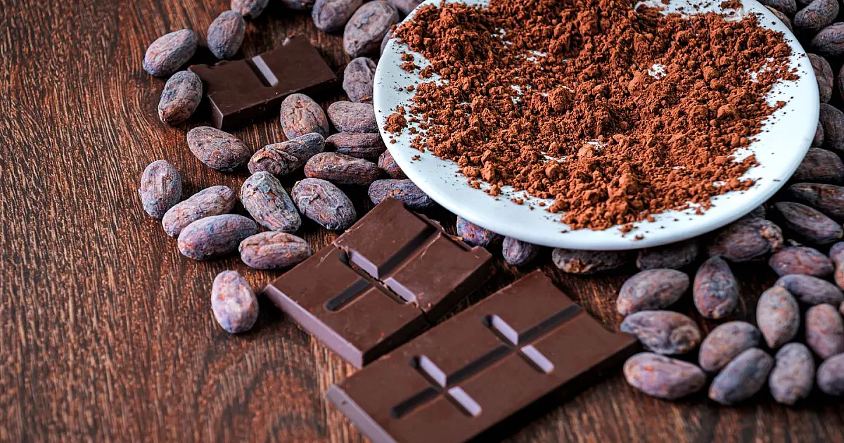 Barras de chocolate e cacau em pó usados na produção de chocolate