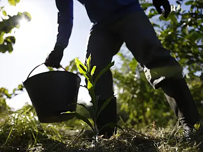 O PNDBio, apresentado em 1º de abril de 2026, transforma a rica biodiversidade brasileira em oportunidades econômicas, com R$ 350 milhões iniciais do Fundo Amazônia e metas ousadas para extrativistas e setor farmacêutico.