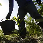 Plano Nacional de Bioeconomia é lançado para alavancar economia verde com foco em biodiversidade até 2035