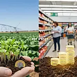 Para cada real investido, R$ 27 voltam à sociedade: Embrapa atinge lucro social recorde de R$ 125 bilhões